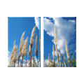 nature wrappedcanvas
