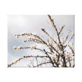 nature wrappedcanvas