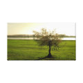 nature wrappedcanvas