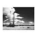 nature wrappedcanvas
