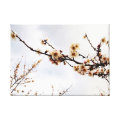 nature wrappedcanvas
