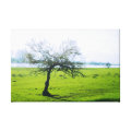 nature wrappedcanvas