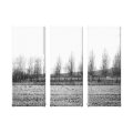 nature wrappedcanvas