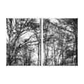 nature wrappedcanvas