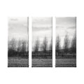 nature wrappedcanvas