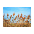 nature wrappedcanvas