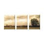 nature wrappedcanvas