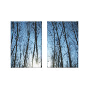 nature wrappedcanvas