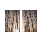 nature wrappedcanvas