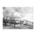 nature wrappedcanvas