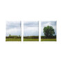 nature wrappedcanvas