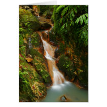 Nature Greeting Card