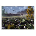 Nature cards