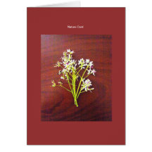 Nature Card