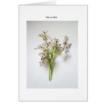Nature Card