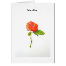 Nature Card