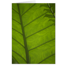 Nature Card