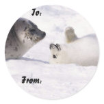Nature Christmas Gift Tags stickers