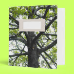 Nature-Covered Avery Binder binders