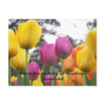Nature does not hurry, yet everything... post cards