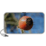 Nature Doodle Speaker