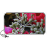 Nature Doodle Speaker