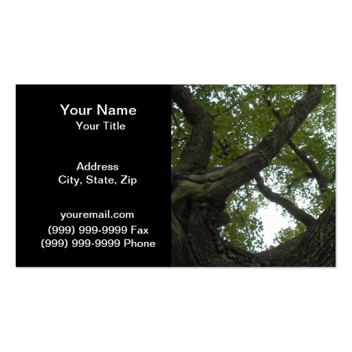 Nature/Evergreen Camphor Tree Business Card Template (back side)
