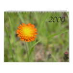 Nature Extraordinaire 2009 Calendar