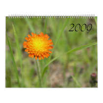 Nature Extraordinaire 2009 calendars by nilezparker Nature Extraordinaire 2009 calendars