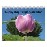 Nature Flower Calendars Sunny Day Tulips Flowers