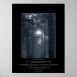 NATURE, FOREST & POEM Photo Poster posters