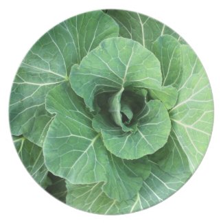 Nature Green cabbage Dinner Plates