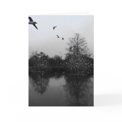 Nature greeting card by Dynomoose
