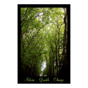 Nature . Growth . Change . posters by moonrisings Nature . Growth . Change . posters