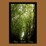Nature . Growth . Change . posters