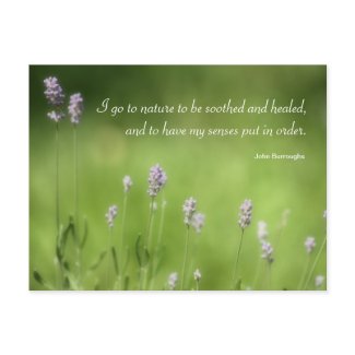 Nature Heals Lavender Photography & Quote Postcard