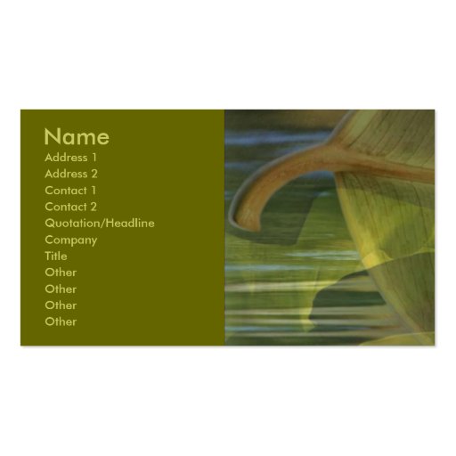 Nature In Balance Business Card (front side)