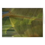 Nature In Balance Card
