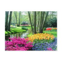 Nature in Colors Postcard by hsonkin Nature in Colors Postcard