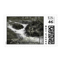 Nature in the Bronx Stamps