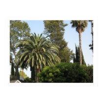 nature in the city poster print by DonnaGrayson nature in the city poster print