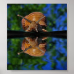 Nature in the forest posters