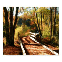 Nature is a Path Print/Poster