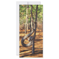 Nature is Artistic Rack Card