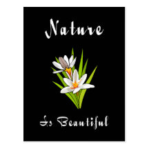 Nature Is Beautiful Post Cards