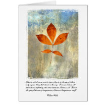 Nature Is Imagination cards by DevaRay Nature Is Imagination cards