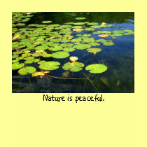 Nature is peaceful T shirt
