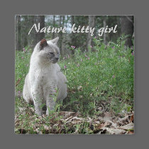 Nature kitty girl magnets