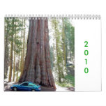 Nature-landscape/forest Calendar