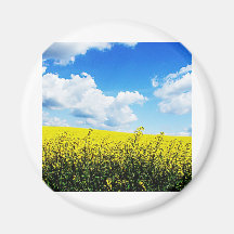Nature landscape Sky farms Flowers Yellow Bright H Fridge Magnets